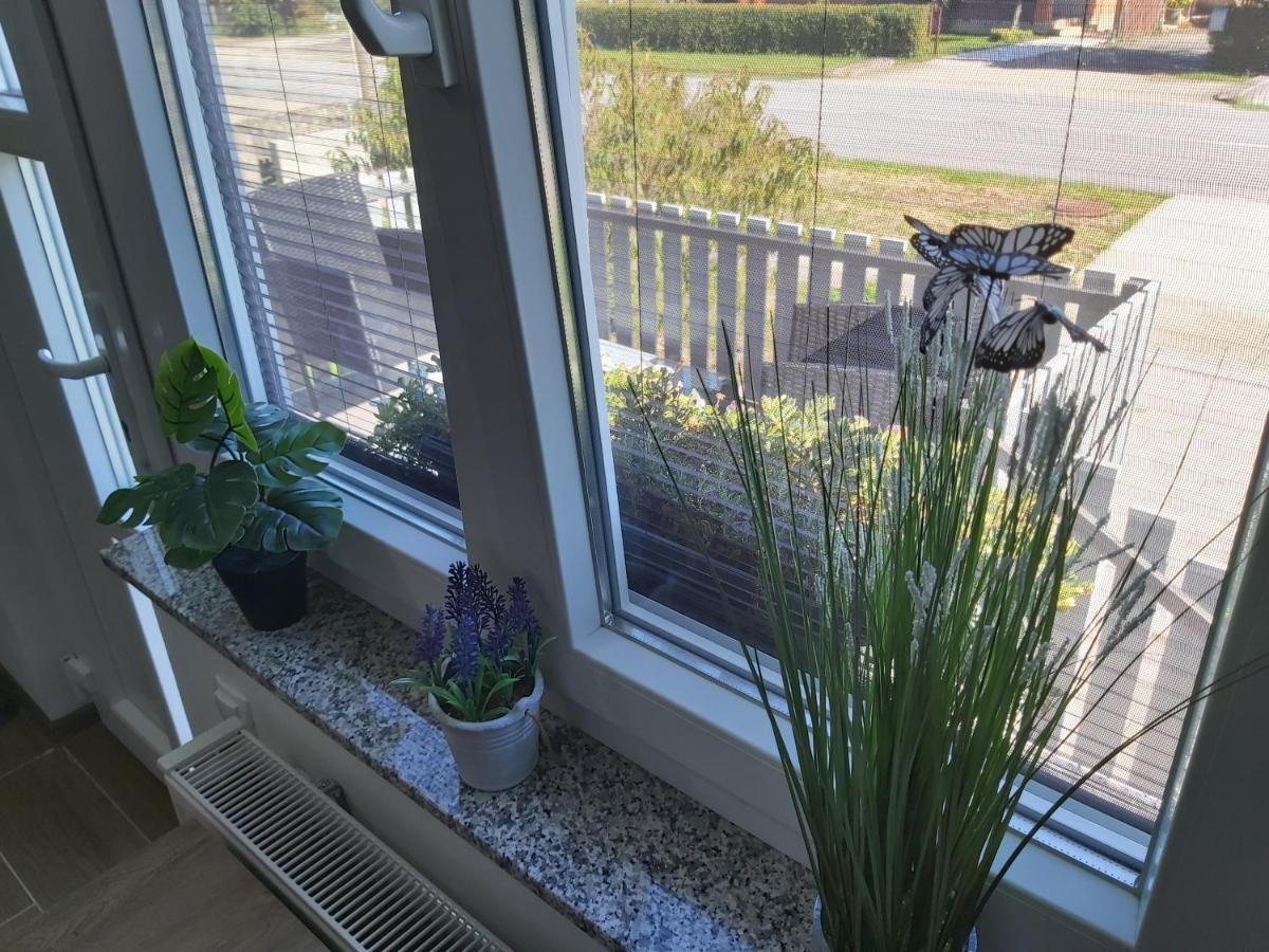 Studio Apartman Draga Velika Ludina Buitenkant foto
