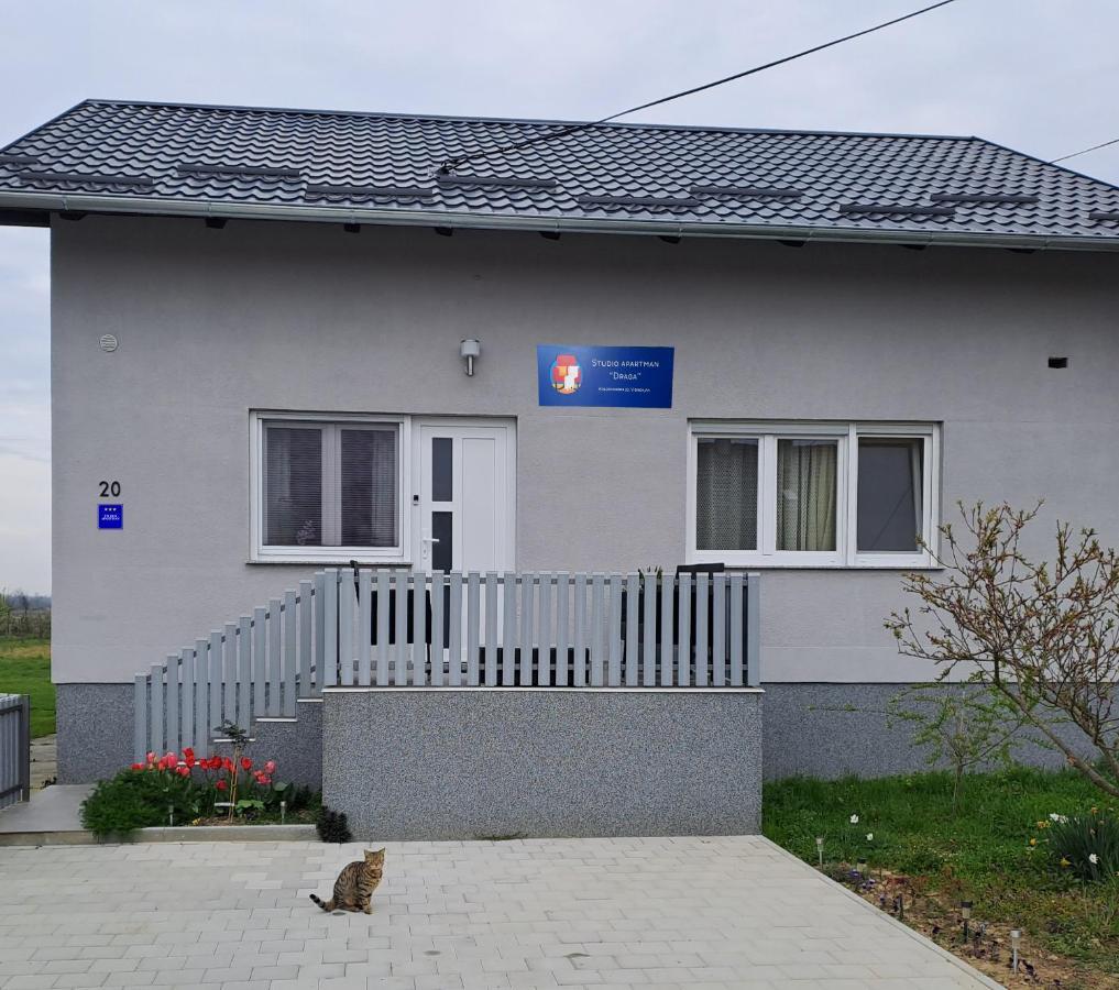 Studio Apartman Draga Velika Ludina Buitenkant foto